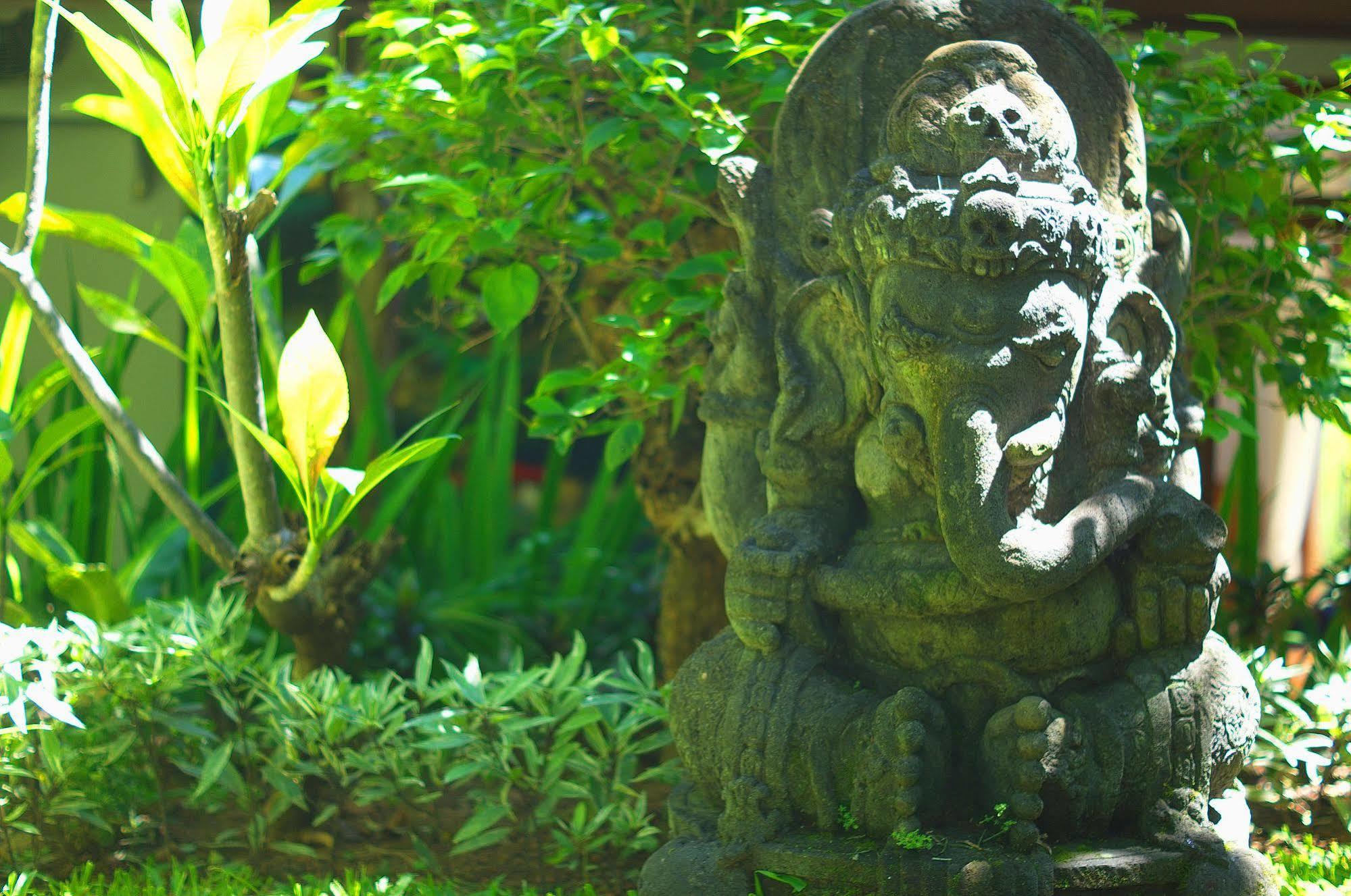 Indo Rumah Zengarden Buleleng  Exterior photo